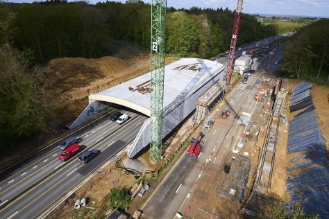 Ecoduct Hallerbos